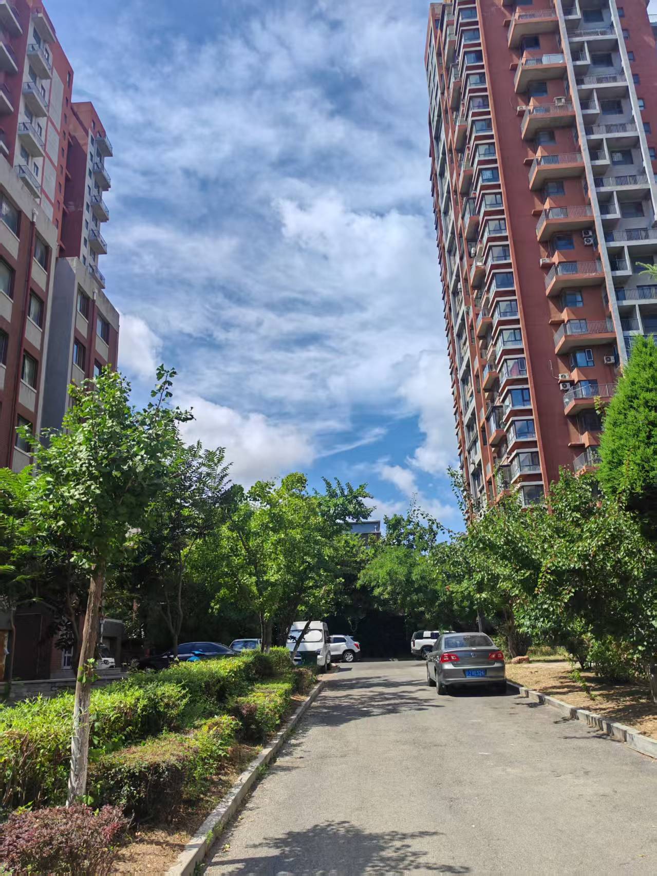 小区环境
